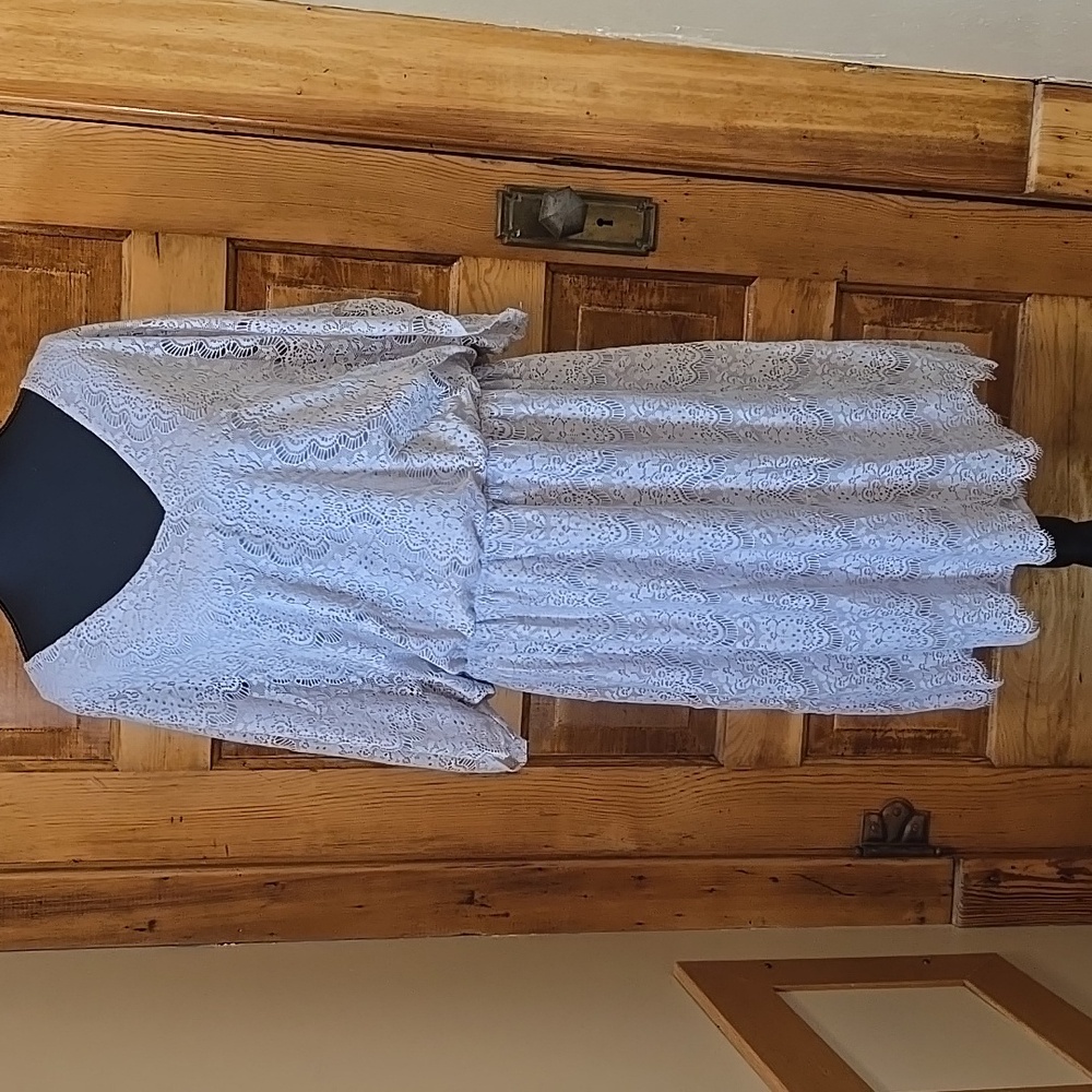 Alfani Elegant Lace Long Sleeve Dress in Light Gray XL